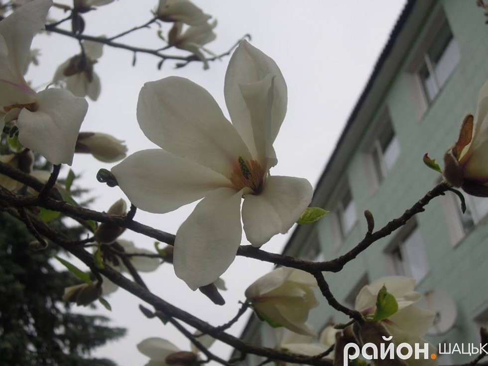 ВСЕ БУДЕ ЛЮКС
