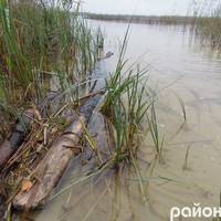 Дивовижна знахідка у Шацьких озерах