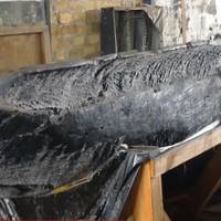 На Волині намагаються зберегти унікальний човен часів Київської Русі (ВІДЕО)