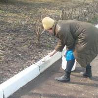 Від звички білити бордюри закликають позбуватися