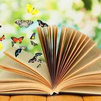 Голоси, бджоли, океан: 12 книжок про дітей для дорослих