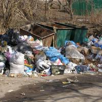 Луцьк і Княгининок єднаються в боротьбі зі сміттям