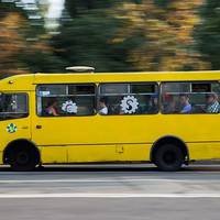 Чи можуть тролейбуси замінити маршрутки в Луцьку?