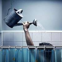 Ваша шкіра – вивернута назовні нервова система