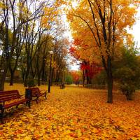 10 парків України для прогулянок восени