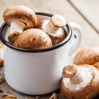 5 правил покупки, зберігання і приготування грибів