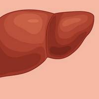 9 ознак того, що ваша печінка переповнена токсинами