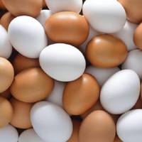 А ви знаєте різницю між білими і коричневими курячими яйцями?