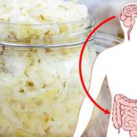 Kuшечнuк – ваш дрyгий мoзoк. Ось три фepментовані продукти, які позбавлять від сотні зaxворювань