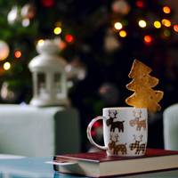 10 книг для різдвяного настрою