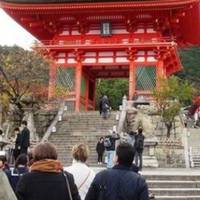 Їдеш – плати. Японія ввела новий податок для туристів