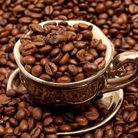 Більше половини диких видів кави на межі зникнення