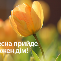 1 березня – свято весни: привітання, картинки, вірші