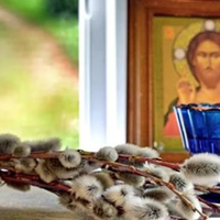 Освячена верба має особливу силу — лікує хворих, очищає дім від негативу.