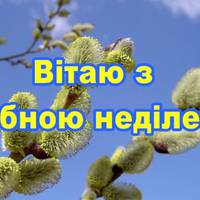 Гарні привітання з Вербною Неділею, для рідних та знайомих.