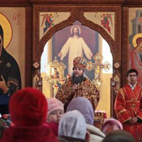 ВСЕ БУДЕ ЛЮКС