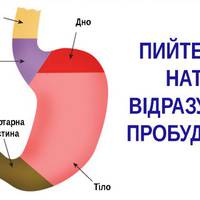 Причини, чому треба пити воду натще відразу після пробудження