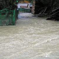 Терміново! В Карпатах творuться щось страшне, вода затоnлює все (КАДРИ)