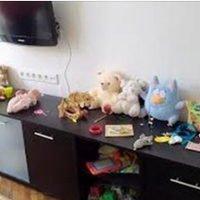 У неділю я була в гостях у своєї доньки, до неї аж два кур'єри прийшло. Один приніс блендер якийсь, інший - гору дитячих іграшок. Дитина взяла ті іграшки у руки на хвилину і викинула на підлогу, побіг