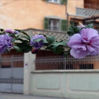 Заробляла в Італії Анна не для себе – все дітям віддавала. Старша донька будувала будинок, молодшій – купила квартиру, а син з невісткою захотіли машину. Але через заробітчанські гроші у них в сім'ї о