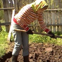 Десь 7 років тому мій син з дружиною купили земельну ділянку. Рік вона зоростала бур'янами, а потім вони продали свою квартиру і звели перший поверх. Зараз гроші у них закінчилися, вони живуть в гурто