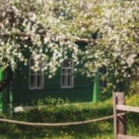 Я все обміркувала, і вирішила, що повністю віддати будинок братові буде нерозумно. Продавши ділянку з будинком можна було купити двокімнатну квартиру. Знаючи, що брат спустить спадок дуже швидко, я на