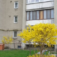 Мама чоловіка живе скромно, гроші збирає. Я була впевнена в тому, що якщо що, вона нам допоможе. Нещодавно ми вирішили, що будемо переїжджати в нашу квартиру, яка дісталася чоловікові в спадок, але та