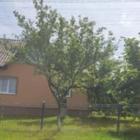 Перед самим весіллям в п'ятницю до Христини додому прийшла Віра Данилівна, посадила всіх рядочком за стіл і впевнено сказала: «Мій син з вашою донькою шлюб брати не буде. Не пара вона йому». Молоді ли
