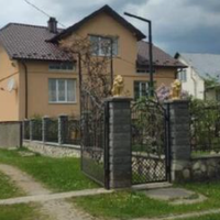 Леся давно вирішила, що заробляти гроші має чоловік – сама для Михайла знайшла бригаду, яка працювала в Польщі на будові, зібрала чоловіка і сказала, що поки хату не побудують, доти він там буде працю