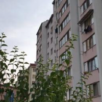 Ми в курсі того, що свекруха вирішила все своє майно віддати молодшому синові. Ну і нехай, зрештою, це її рішення. Світлана Петрівна завжди молодшого сина більше любила, ніж мого чоловіка. І подарунка