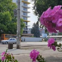Син зателефонував і сам запросив мене до себе в гості. Я вагалася, але поїхала. Вдома у нього мене ніхто не чекав. Невістка Люба мені сказала, що вона втомилася і хоче відпочити. Я розклала продукти н