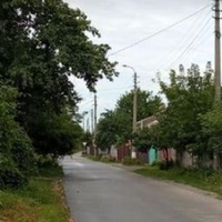 Син Тамари Вікторівни нещодавно продав квартиру в столиці і купив хату в селі з великою земельною ділянкою. Вони переїхали туди з трьома дітьми, скоро четверта буле. Зараз у них десяток свиней, 3 коро