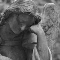 У Тернопільській області дерево вбило 35-річного лісоруба: Спливли подробиці трагедії