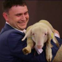 «Громада на мільйон»: волинський фермер став власником 30 овець (ВІДЕО)
