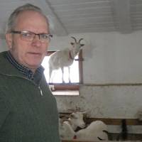 Влада мені постійно не давала спокою!. Чому бельгієць хоче продати ферму на Львівщині