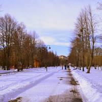 Сніг та зелень: як виглядає луцький парк наприкінці березня (ФОТО)