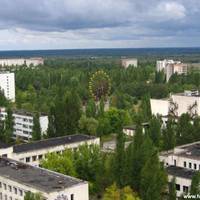 Камери в Чорнобилі зафіксували щось неймовірне (ФОТО)