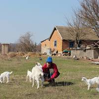 Сільпанк на Полтавщині: як переселенець з Криму розвиває село, що вимирає (ФОТО)