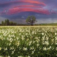 10 природних чудес України, які повинен побачити кожен! (ФОТО)