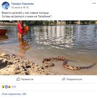 Гігантські пітони захопили пляж на київському озері: фото