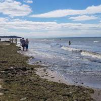 Зелена багнюка замість води: пляжі на популярному курорті налякали українців. ФОТО