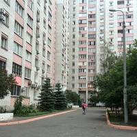 У Києві шкуродер на очах у дітей викинув цуценя з вікна (18+)