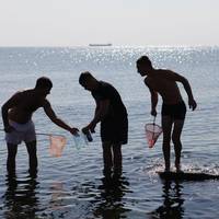 Відпочинок на морі: шахраї розводять наївних українців на десятки тисяч
