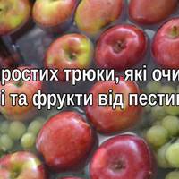 Як очистити фрукти й овочі від небезпечних пестицидів. Цьому трюку мене навчив один фермер!