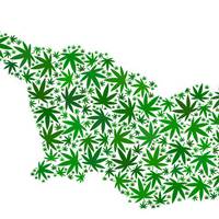 Це цікаво: у Грузії не каратимуть за вживання марихуани