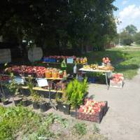 Львівщина. День Незалежності. Чекаю на маршрутку. Біля лотка, де продаються яблука, зупиняється іномарка. З неї виходять троє..