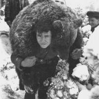 Зворушлива історія про дружбу ведмедя та повстанця УПА