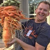 Чоловік виростив величезну моркву, і вона більше схожа на дикого монстра, ніж на овоч