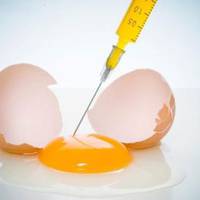 Проти 20 хвороб – лікувальні… яйця