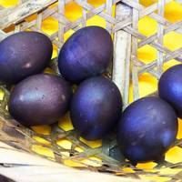 Фермер знайшов дивні яйця чорного кольору – подивіться, що вилупилося з них